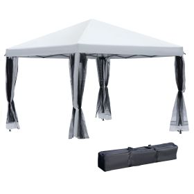 10' x 10' Pop Up Canopy Tent with Netting, Instant Gazebo