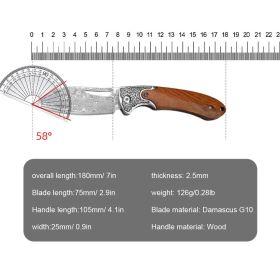 Damascus VG10 Steel Folding Pocket Knife for Men